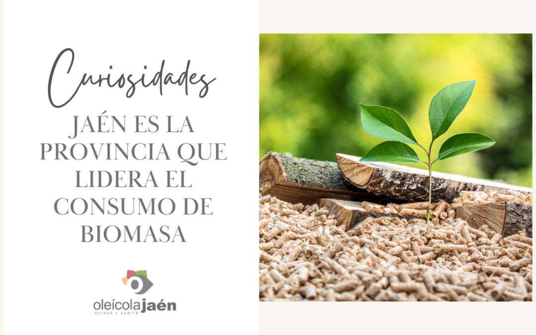 Jaén es la provincia que lidera el consumo de biomasa