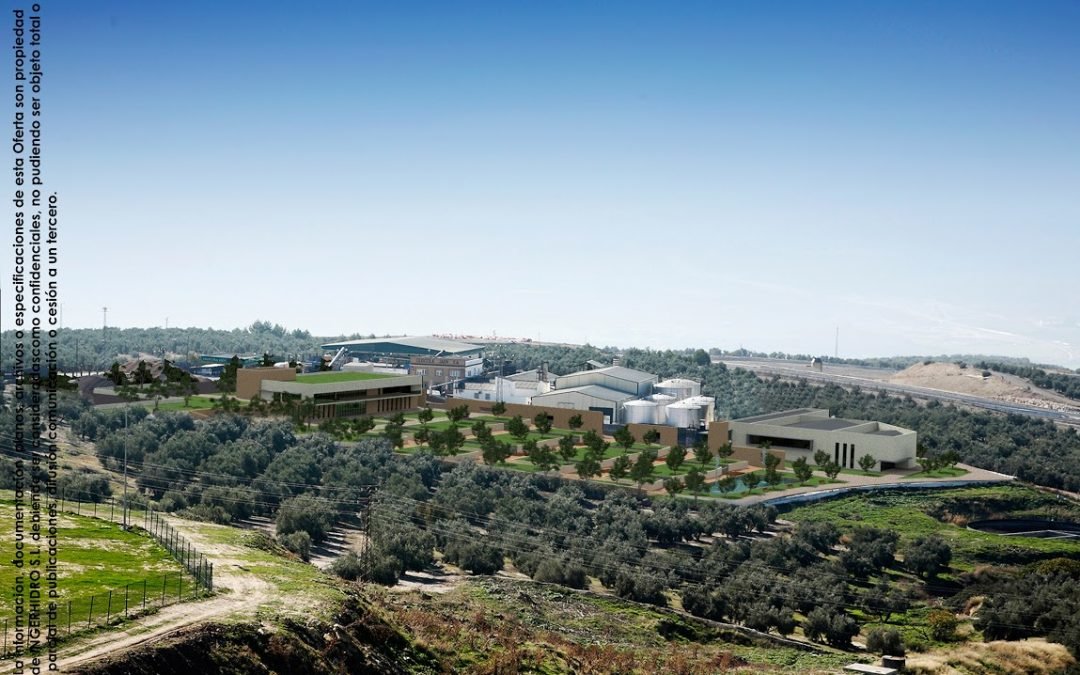 Proyecto de Reconversión Oleícola Jaén
