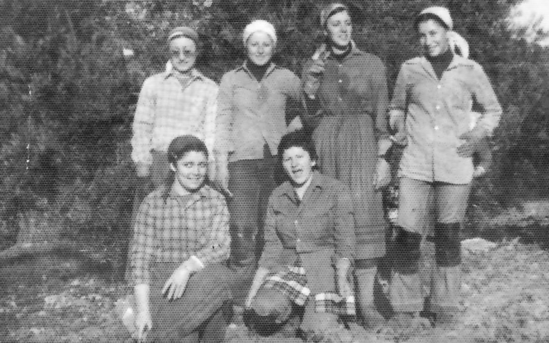 MUJERES, OLIVAR Y ACEITE