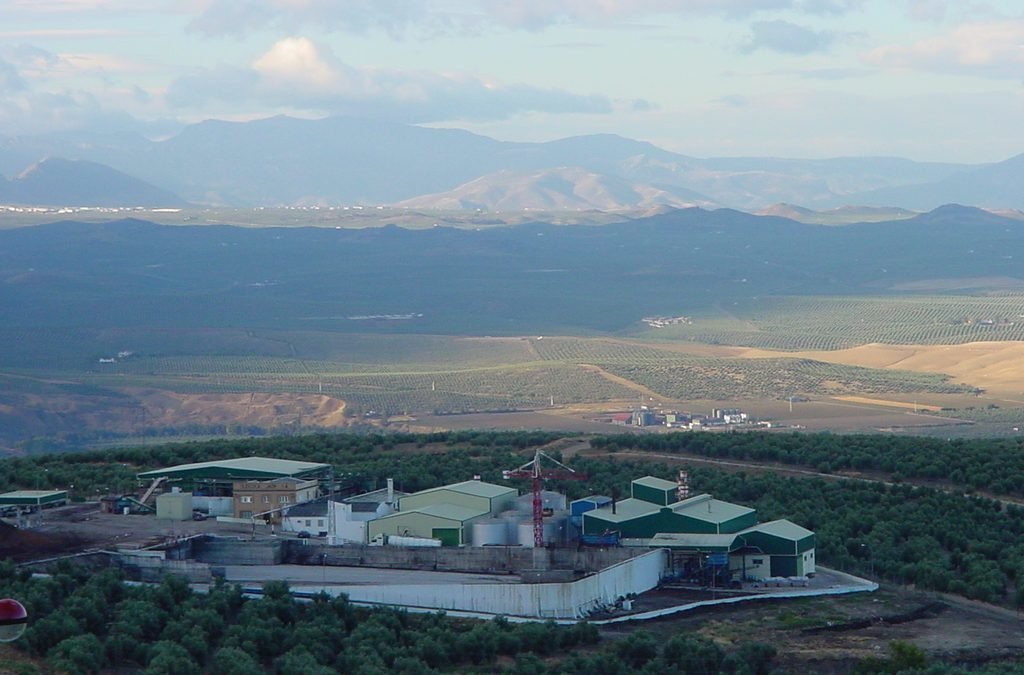 SERVICIOS Y BENEFICIOS DE LA ALMAZARA OLEICOLA JAEN