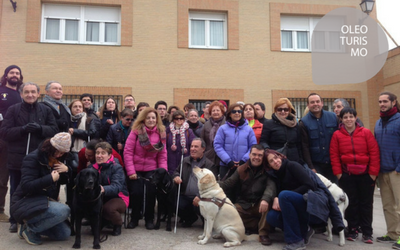 Visita a Oleícola Jaén de la Asociación + Ideas