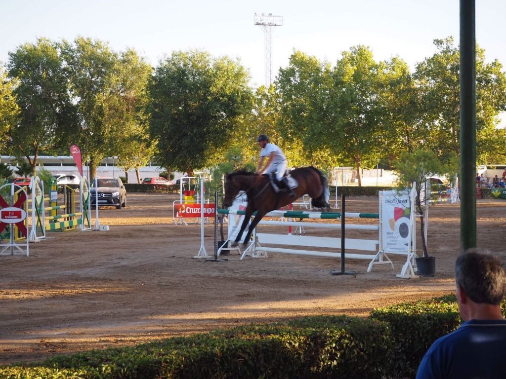 53º Edición del Concurso de Saltos Hípicos en Baeza