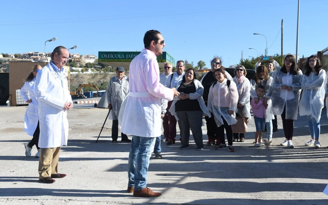 Descubre la almazara de Oleícola Jaén | Oleoturismo