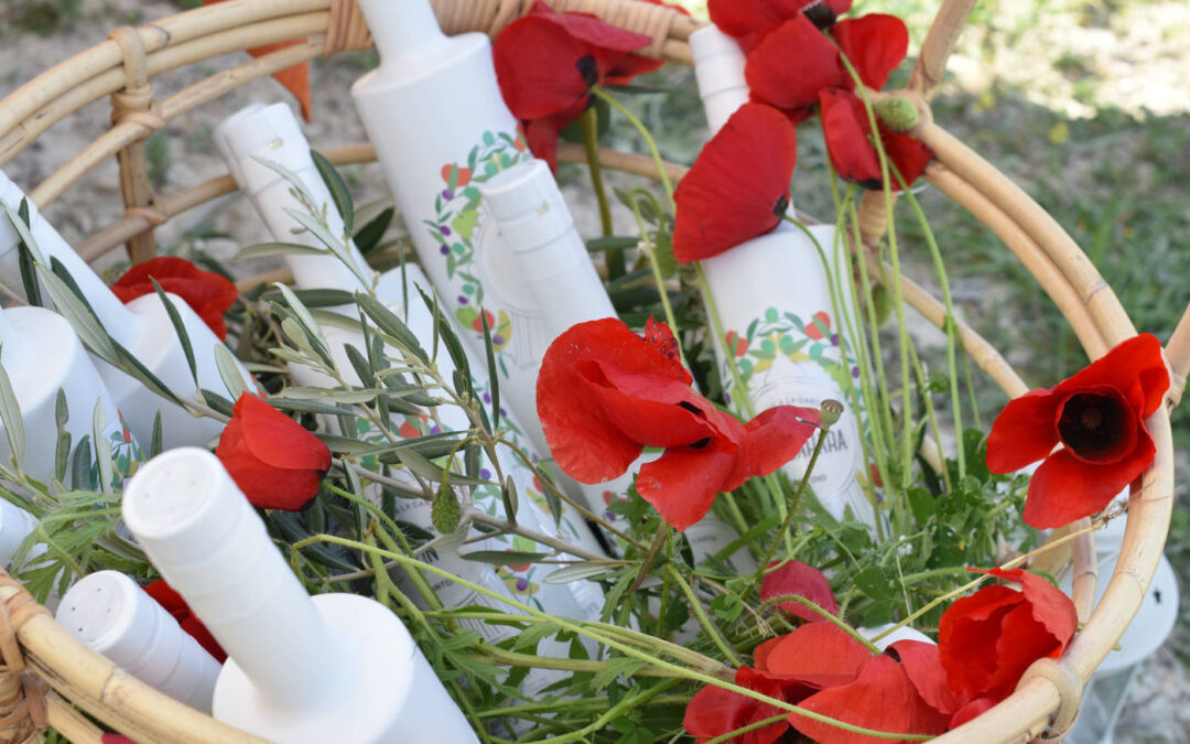 Aceite de oliva virgen extra, aliado contra la diabetes