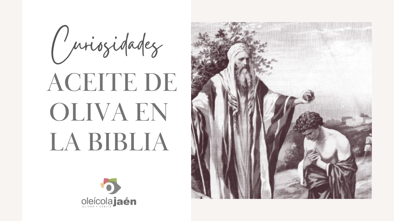 ACEITE DE OLIVA EN LA BIBLIA