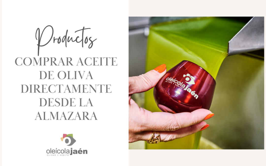 Comprar Aceite de Oliva de Jaén directamente en la almazara