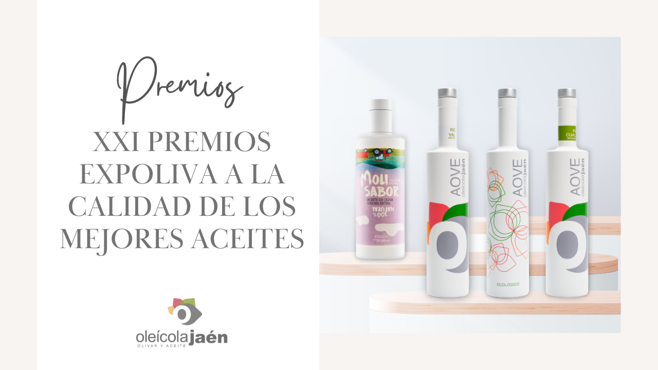XXI PREMIOS INTERNACIONALES EXPOLIVA A LA CALIDAD DE LOS MEJORES ACEITES DE OLIVA VÍRGENES EXTRA