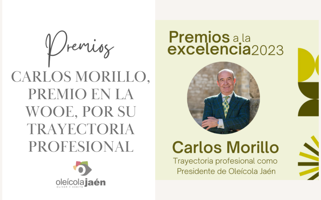 carlos morillo, premio a la excelencia trayectoria profesional