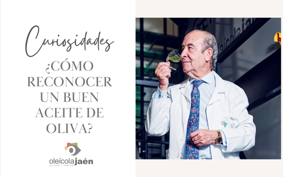 ¿Cómo reconocer un buen aceite de oliva?