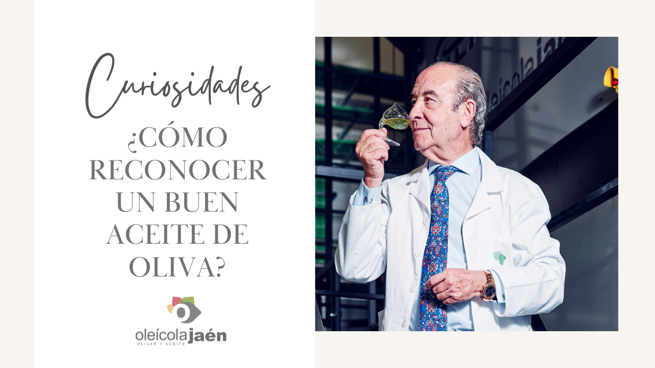 ¿Cómo reconocer un buen aceite de oliva?