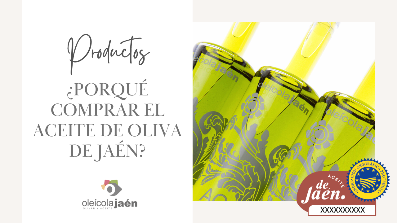 ¿Porqué comprar el Aceite de oliva de Jaén?