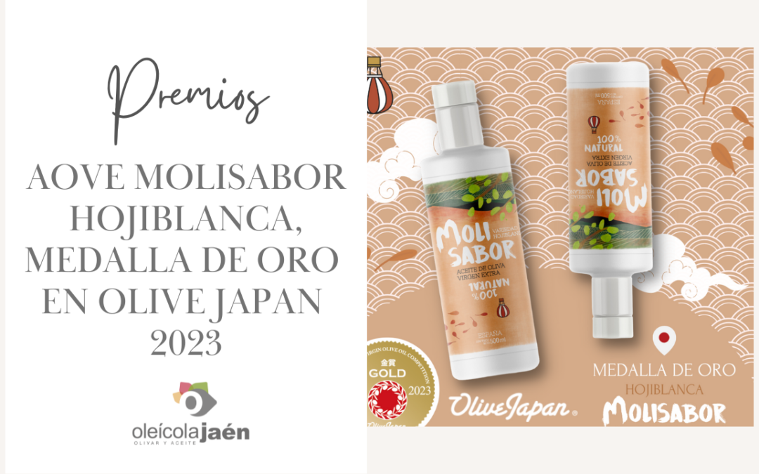 aove hojiblanca molisabor- medalla de oro en olivejapan