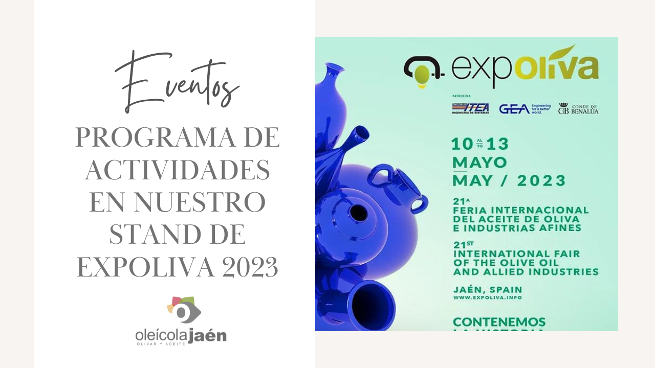 expoliva 2023, actividades