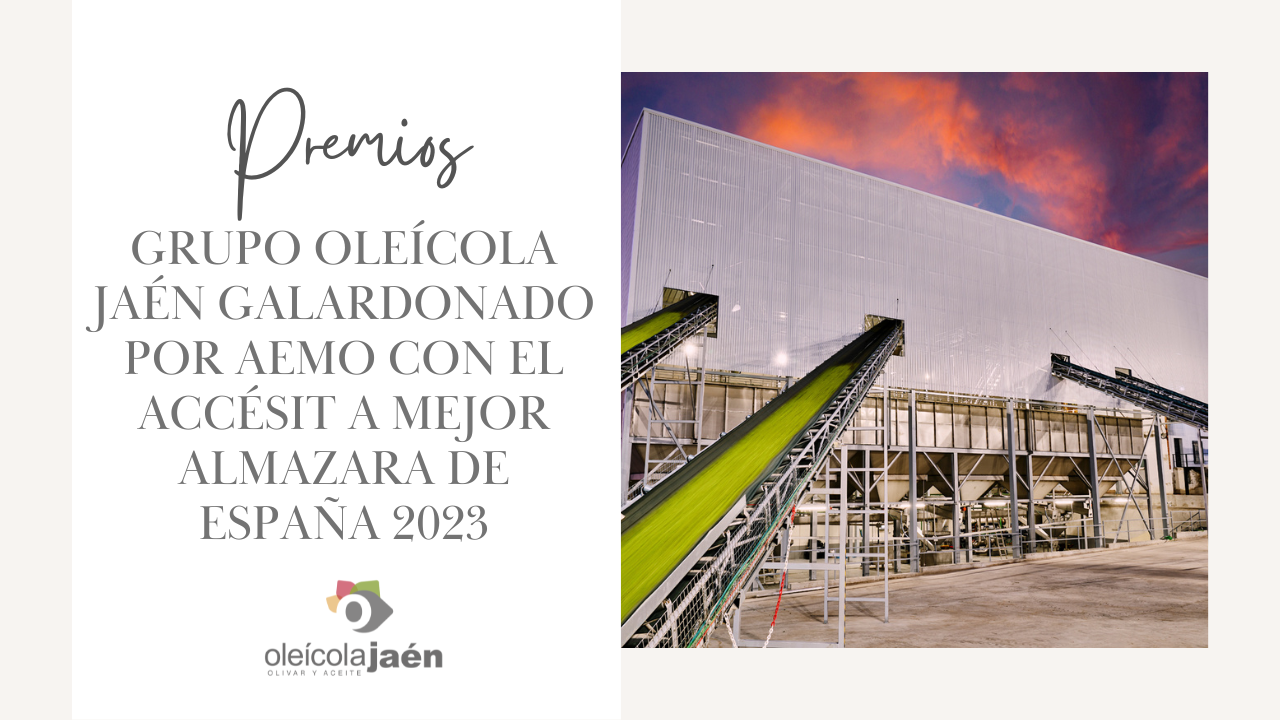 GRUPO OLEÍCOLA JAÉN galardonado por AEMO con el Accésit a Mejor Almazara de España 2023