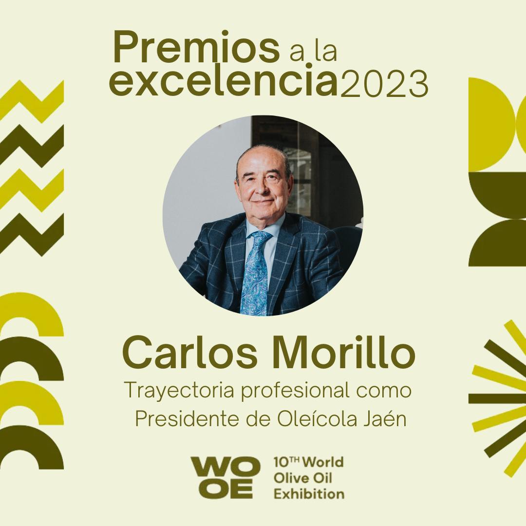 TRAYECTORIA PROFESIONAL