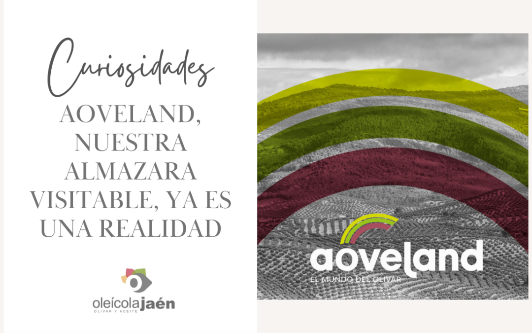 AOVELAND, NUESTRA ALMAZARA VISITABLE, YA ES UNA REALIDAD