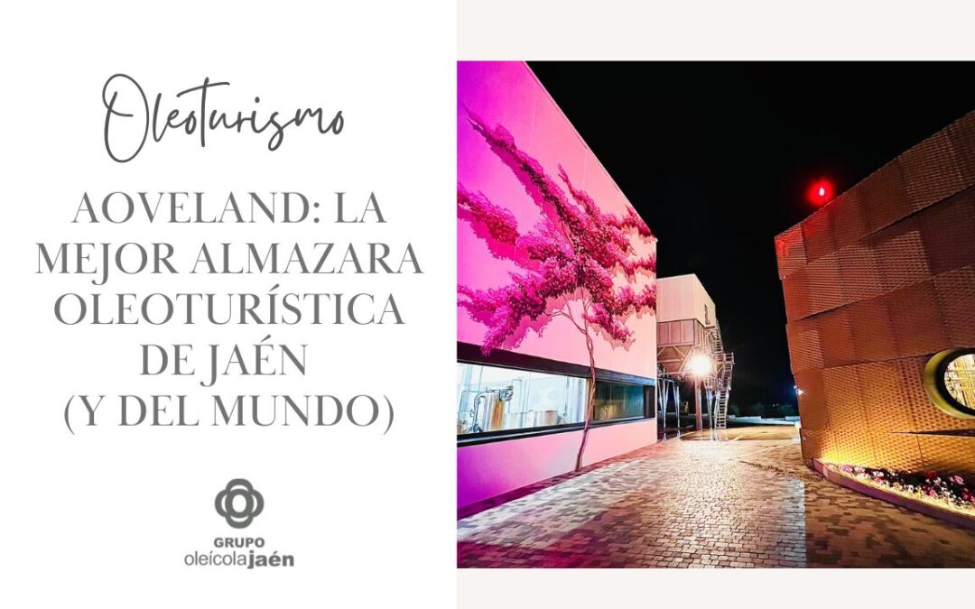 AOVEland: la mejor almazara oleoturística de Jaén (y del mundo)