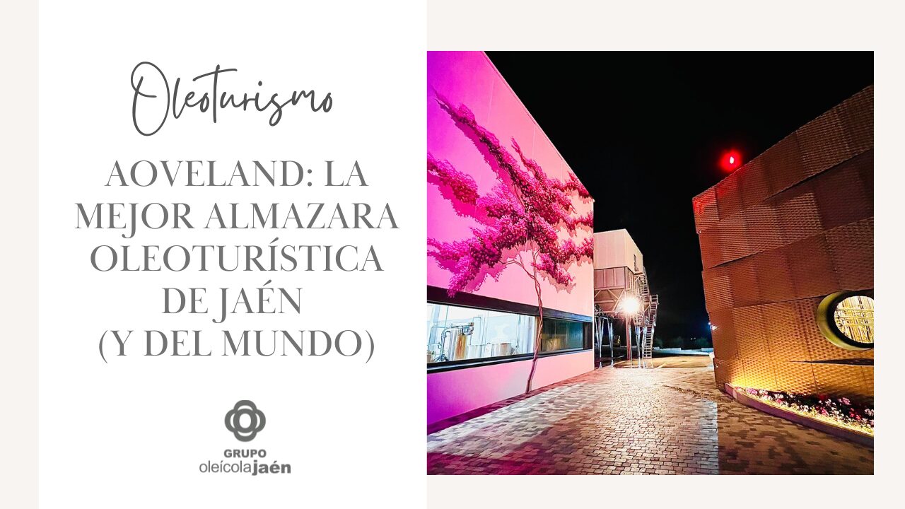 AOVEland: la mejor almazara oleoturística de Jaén (y del mundo)