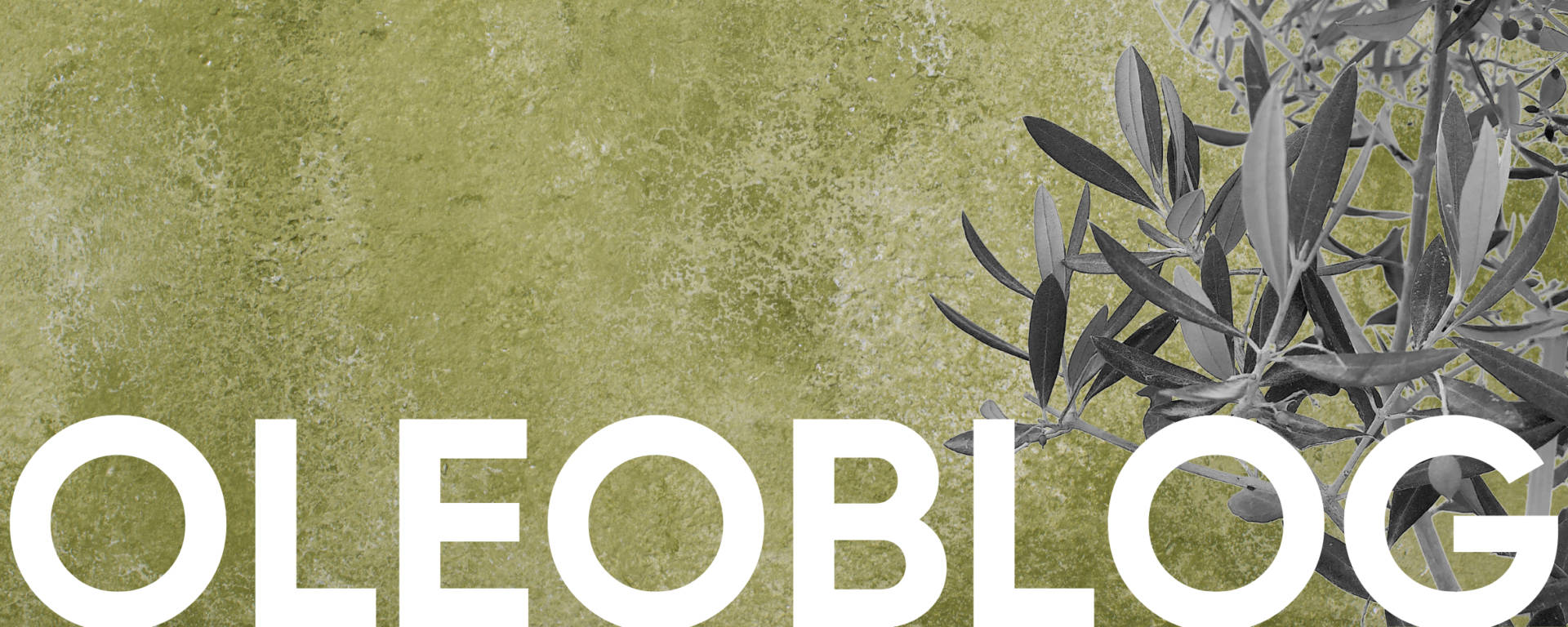 Blog de Oleícola Jaén