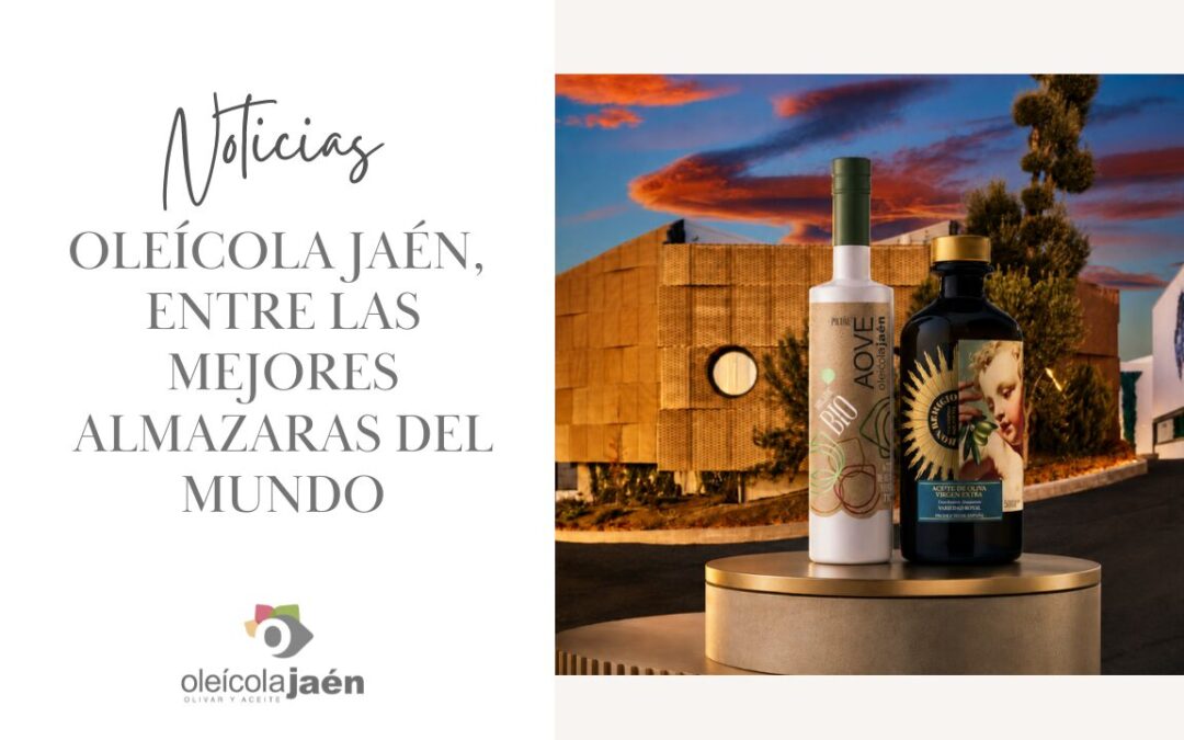 Oleícola Jaén se sitúa entre las mejores almazaras del mundo